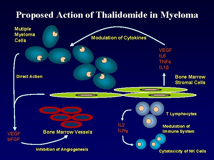 Proposed Action of Thalidomide in Myeloma Mutiple Myeloma Cells Modulation of Cytokines VEGF IL