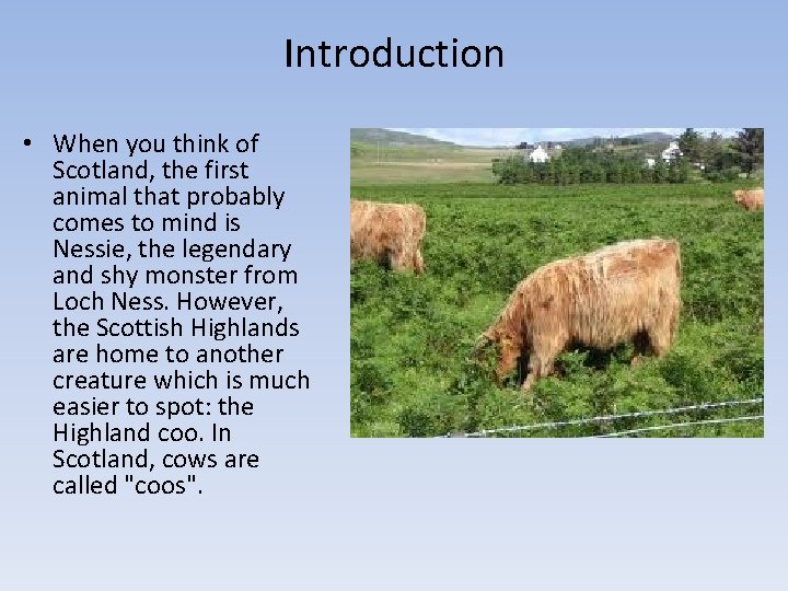 Introduction • When you think of Scotland, the first animal that probably comes to