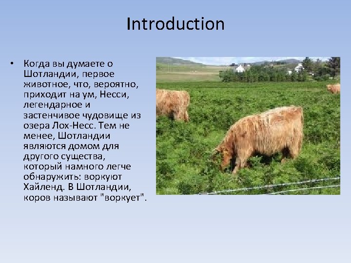 Flora and fauna of the british isles By