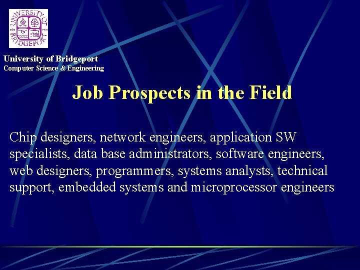 University of Bridgeport Computer Science & Engineering Job Prospects in the Field Chip designers,