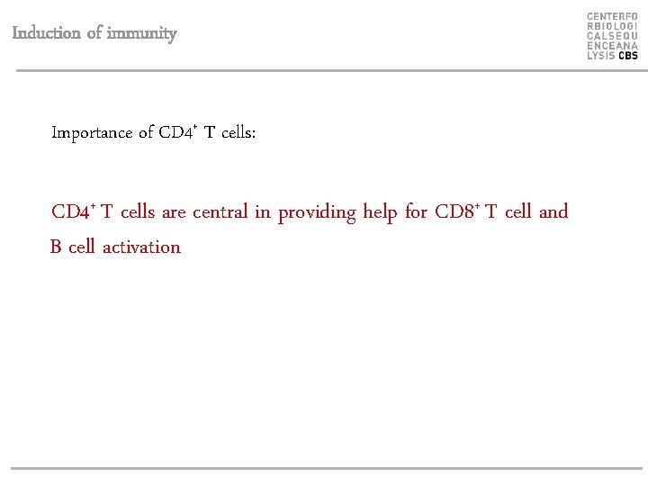 Induction of immunity Importance of CD 4+ T cells: CD 4+ T cells are