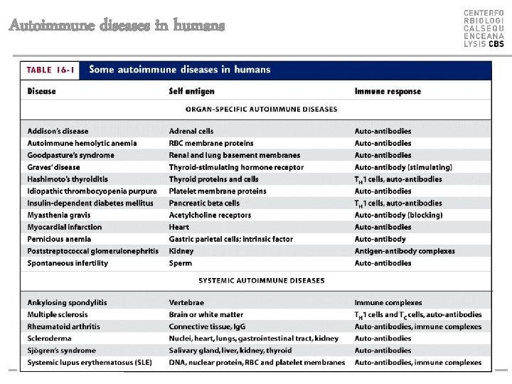 Autoimmune diseases in humans 
