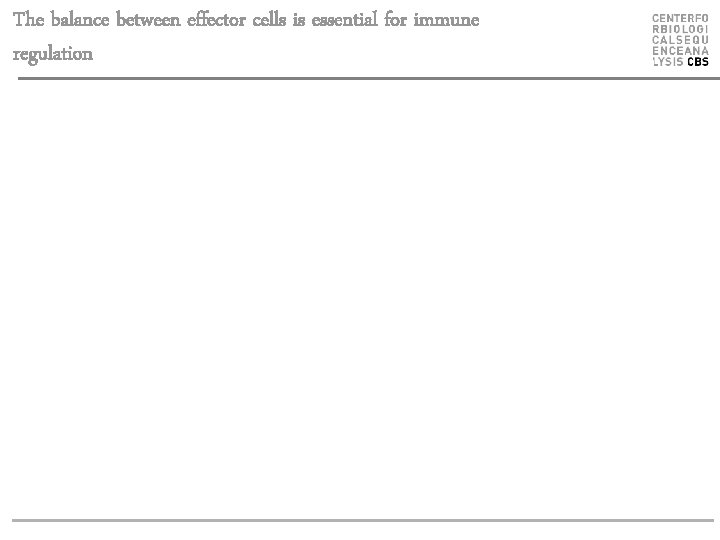 The balance between effector cells is essential for immune regulation 