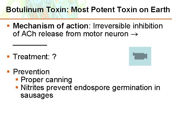 Botulinum Toxin: Most Potent Toxin on Earth § Mechanism of action: Irreversible inhibition of