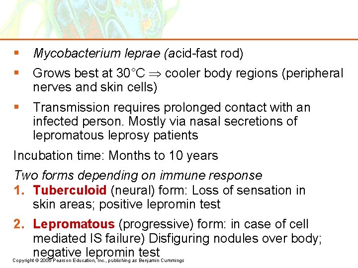 § Mycobacterium leprae (acid-fast rod) § Grows best at 30°C cooler body regions (peripheral
