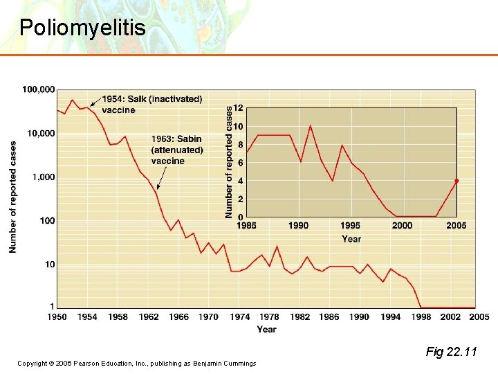 Poliomyelitis Fig 22. 11 Copyright © 2006 Pearson Education, Inc. , publishing as Benjamin