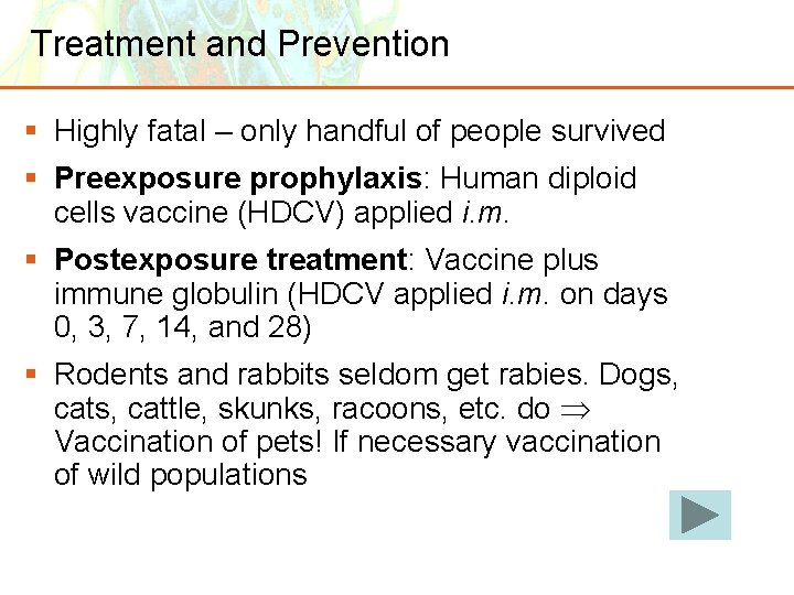 Treatment and Prevention § Highly fatal – only handful of people survived § Preexposure