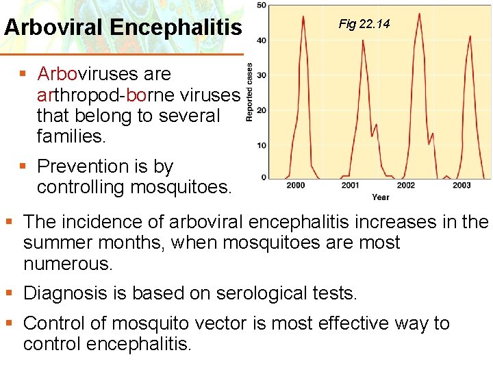 Arboviral Encephalitis Fig 22. 14 § Arboviruses are arthropod-borne viruses that belong to several