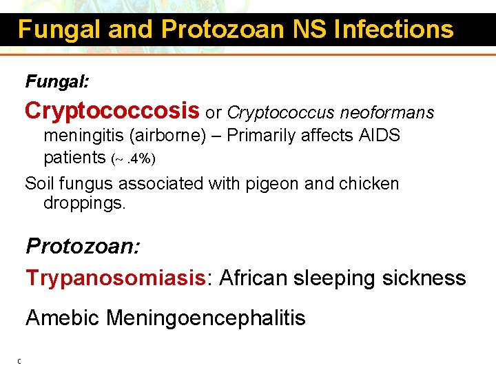 Fungal and Protozoan NS Infections Fungal: Cryptococcosis or Cryptococcus neoformans meningitis (airborne) – Primarily