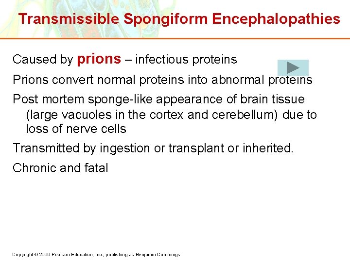 Transmissible Spongiform Encephalopathies Caused by prions – infectious proteins Prions convert normal proteins into