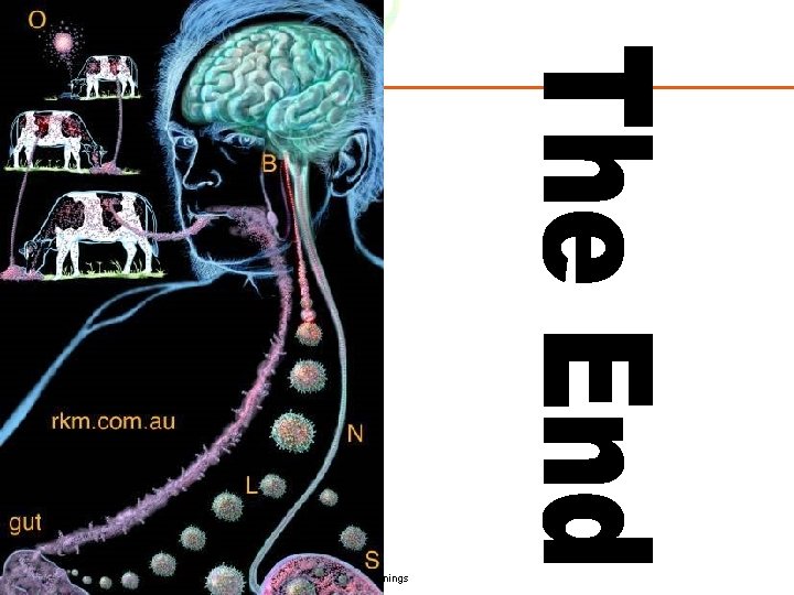 Copyright © 2006 Pearson Education, Inc. , publishing as Benjamin Cummings 