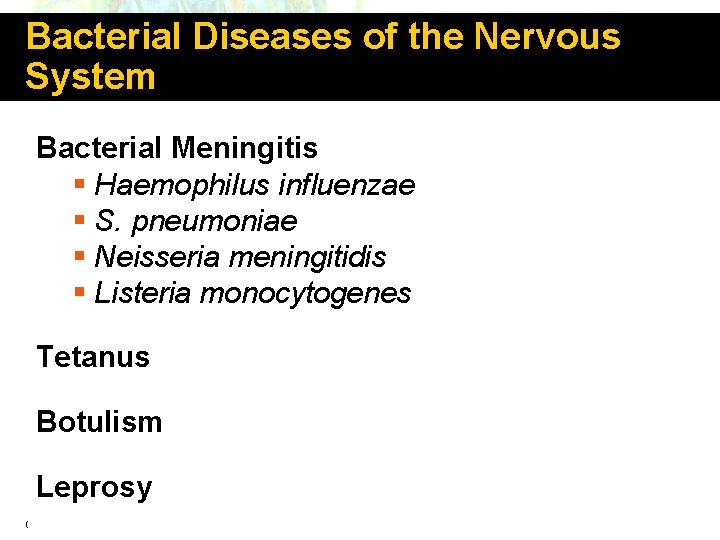 Bacterial Diseases of the Nervous System Bacterial Meningitis § Haemophilus influenzae § S. pneumoniae