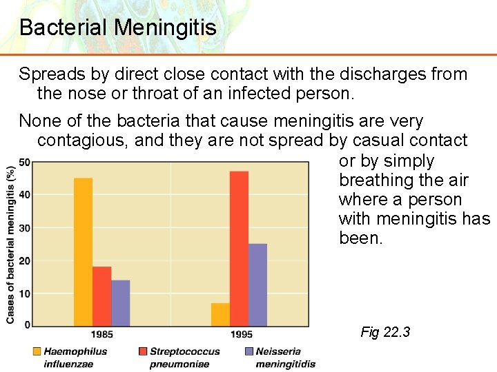 Bacterial Meningitis Spreads by direct close contact with the discharges from the nose or