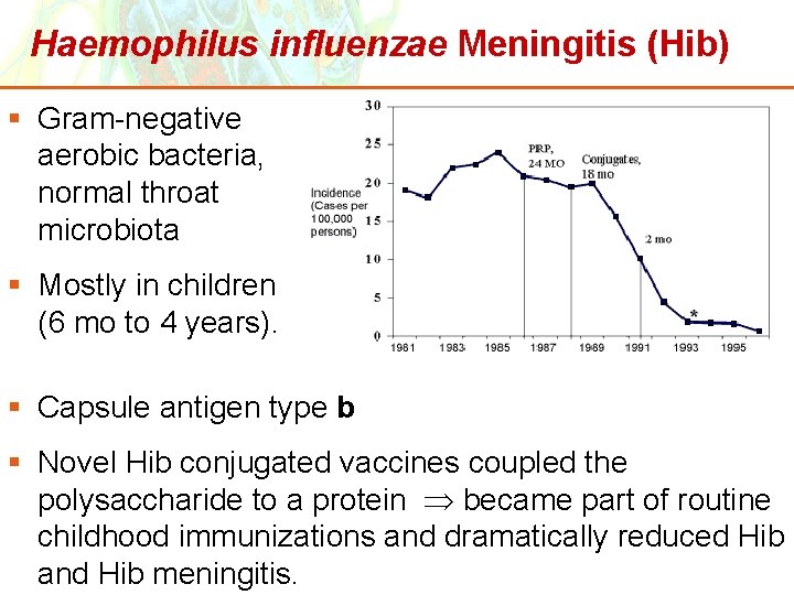 Haemophilus influenzae Meningitis (Hib) § Gram-negative aerobic bacteria, normal throat microbiota § Mostly in