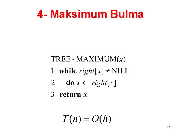 4 - Maksimum Bulma 17 