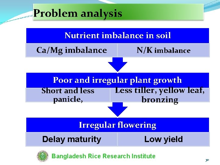 Problem analysis Nutrient imbalance in soil Ca/Mg imbalance N/K imbalance Poor and irregular plant