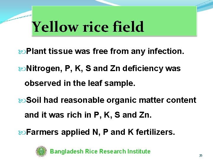 Yellow rice field Plant tissue was free from any infection. Nitrogen, P, K, S