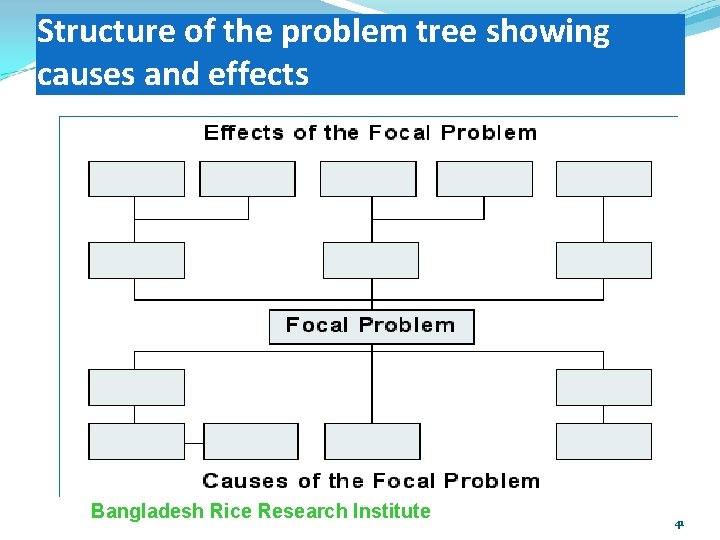 Structure of the problem tree showing causes and effects Bangladesh Rice Research Institute 41