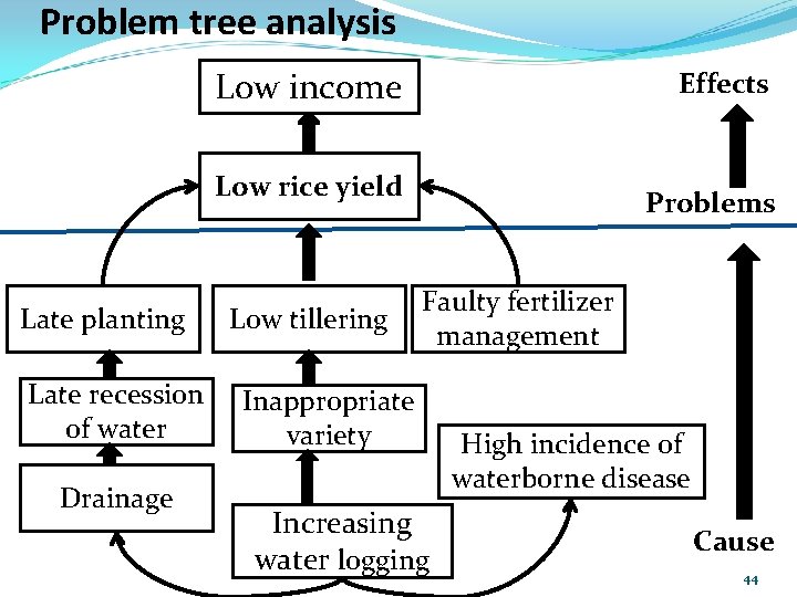 Problem tree analysis Low income Effects Low rice yield Late planting Late recession of