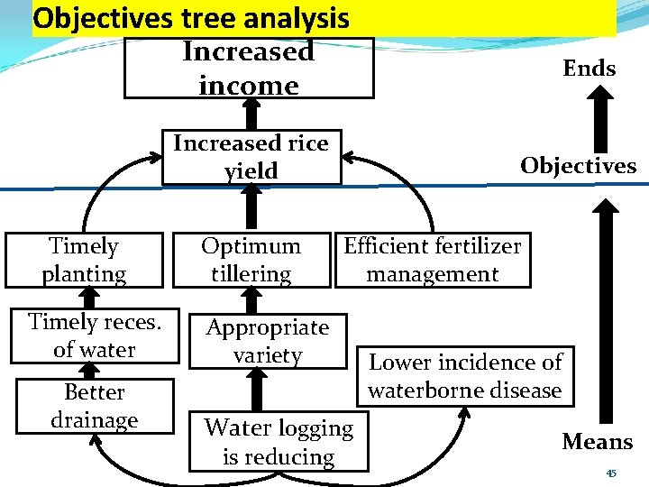 Objectives tree analysis Increased income Ends Increased rice yield Timely planting Timely reces. of