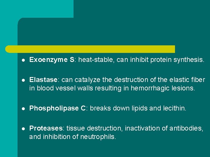 l Exoenzyme S: heat-stable, can inhibit protein synthesis. l Elastase: can catalyze the destruction