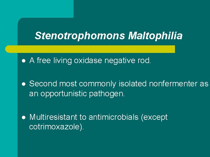 Stenotrophomons Maltophilia l A free living oxidase negative rod. l Second most commonly isolated