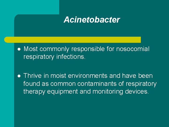 Acinetobacter l Most commonly responsible for nosocomial respiratory infections. l Thrive in moist environments