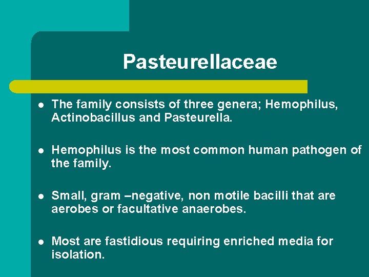 Pasteurellaceae l The family consists of three genera; Hemophilus, Actinobacillus and Pasteurella. l Hemophilus