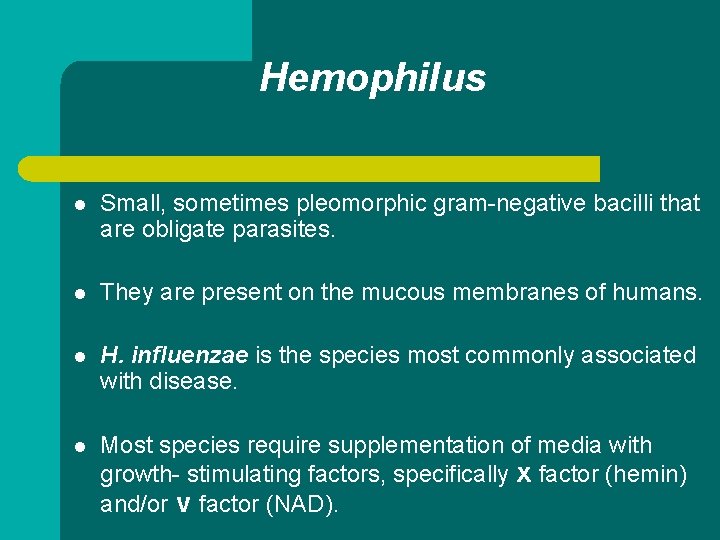 Hemophilus l Small, sometimes pleomorphic gram-negative bacilli that are obligate parasites. l They are