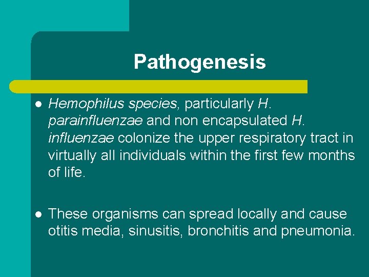 Pathogenesis l Hemophilus species, particularly H. parainfluenzae and non encapsulated H. influenzae colonize the