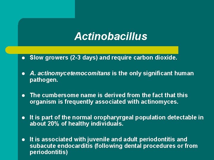 Actinobacillus l Slow growers (2 -3 days) and require carbon dioxide. l A. actinomycetemocomitans