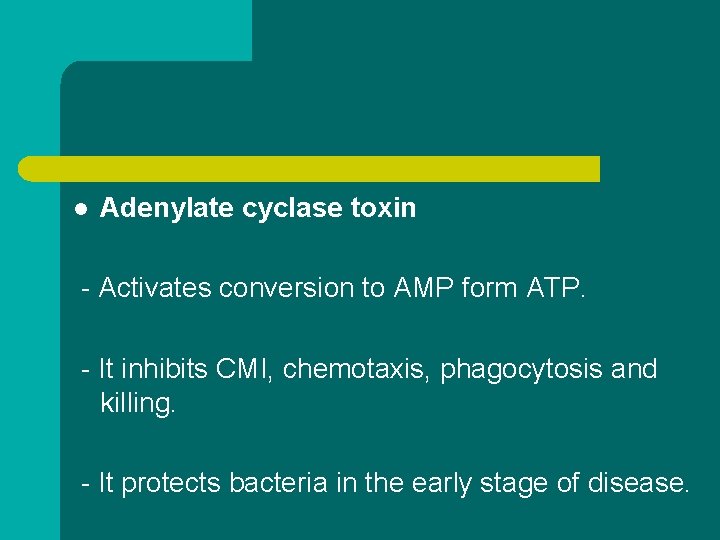 l Adenylate cyclase toxin - Activates conversion to AMP form ATP. - It inhibits