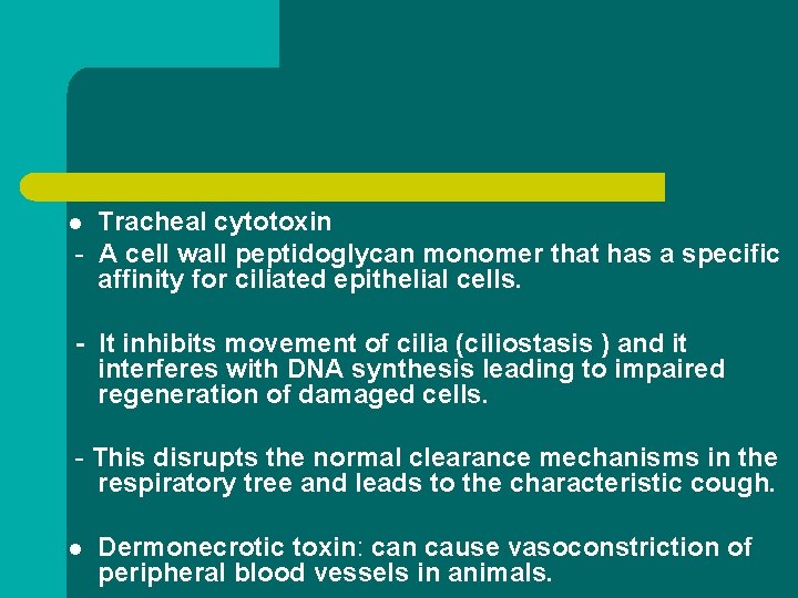 Tracheal cytotoxin - A cell wall peptidoglycan monomer that has a specific affinity for