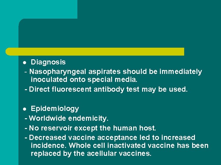 Diagnosis - Nasopharyngeal aspirates should be immediately inoculated onto special media. - Direct fluorescent