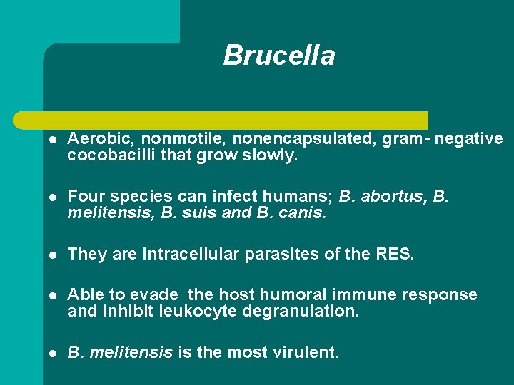 Brucella l Aerobic, nonmotile, nonencapsulated, gram- negative cocobacilli that grow slowly. l Four species