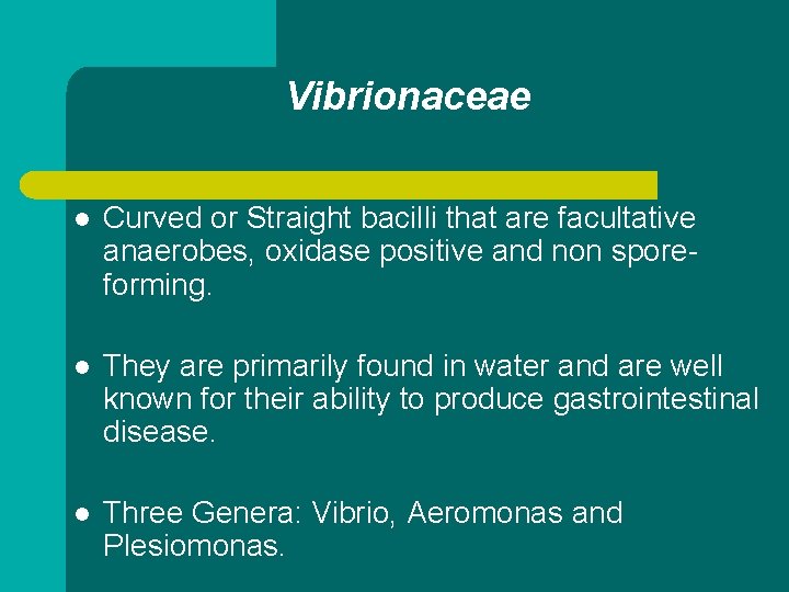 Vibrionaceae l Curved or Straight bacilli that are facultative anaerobes, oxidase positive and non