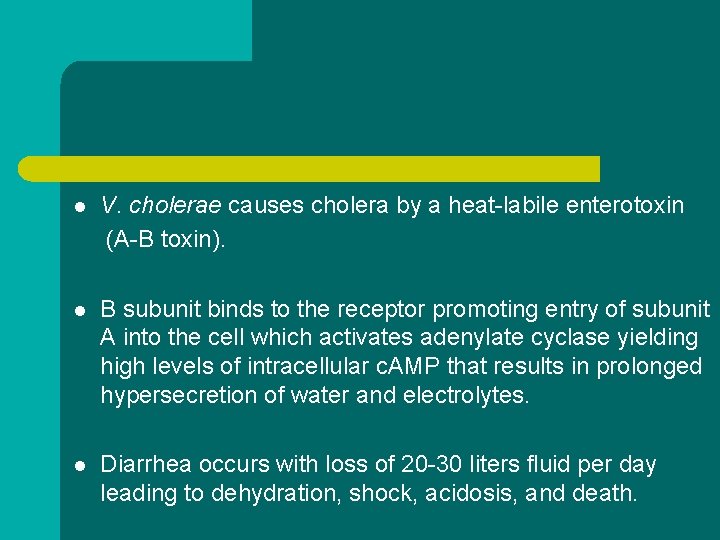 l V. cholerae causes cholera by a heat-labile enterotoxin (A-B toxin). l B subunit