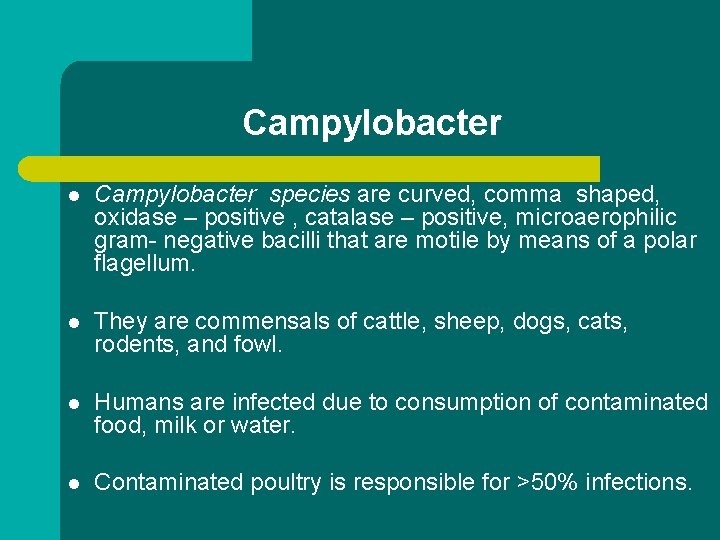 Campylobacter l Campylobacter species are curved, comma shaped, oxidase – positive , catalase –