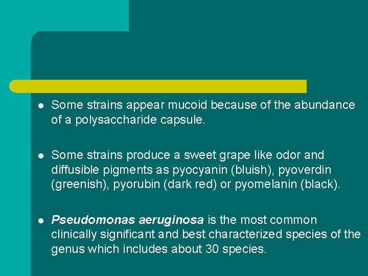 l Some strains appear mucoid because of the abundance of a polysaccharide capsule. l