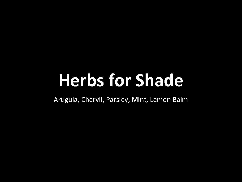 Herbs for Shade Arugula, Chervil, Parsley, Mint, Lemon Balm 