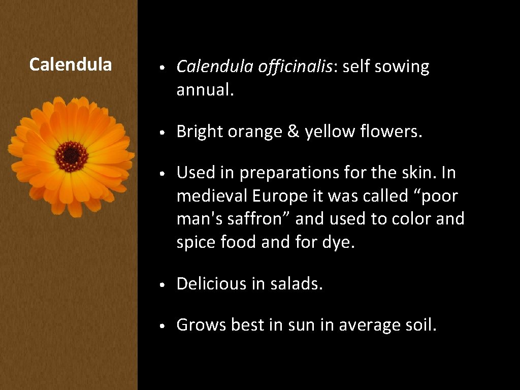 Calendula • Calendula officinalis: self sowing annual. • Bright orange & yellow flowers. •