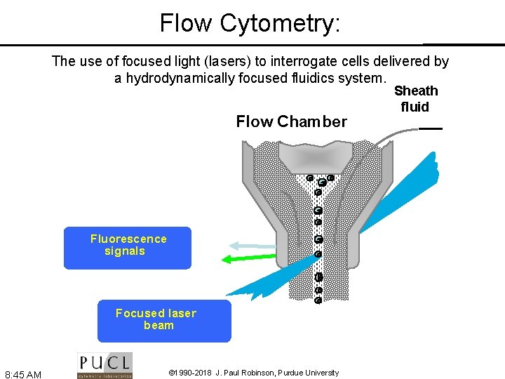 Flow Cytometry: The use of focused light (lasers) to interrogate cells delivered by a