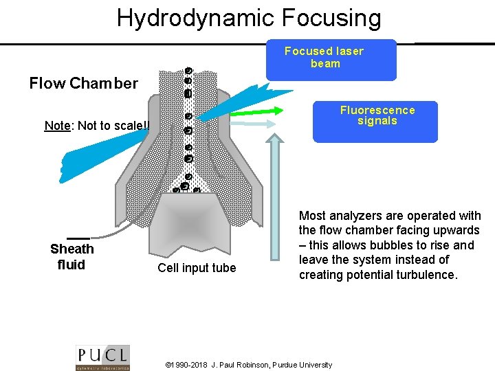 Hydrodynamic Focusing Focused laser beam Flow Chamber Fluorescence signals Note: Not to scale!! Sheath