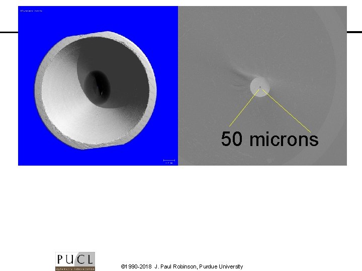 50 microns © 1990 -2018 J. Paul Robinson, Purdue University 