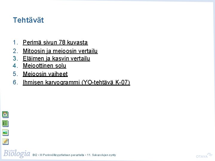 Tehtävät 1. 2. 3. 4. 5. 6. Perimä sivun 78 kuvasta Mitoosin ja meioosin