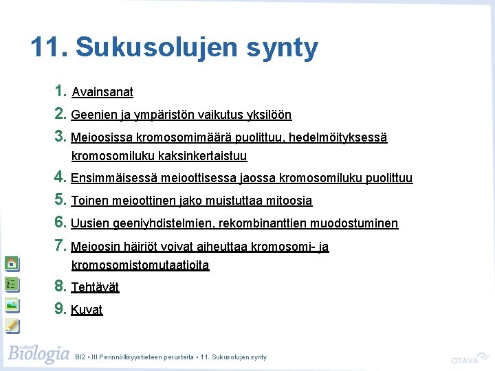 11. Sukusolujen synty 1. Avainsanat 2. Geenien ja ympäristön vaikutus yksilöön 3. Meioosissa kromosomimäärä