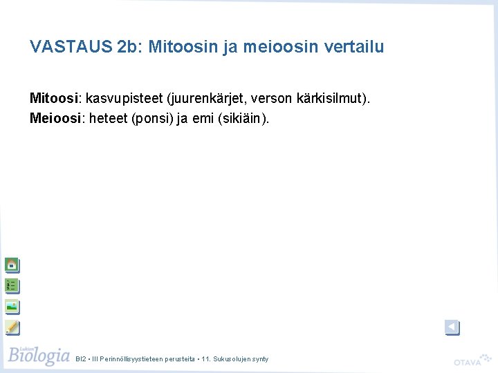 VASTAUS 2 b: Mitoosin ja meioosin vertailu Mitoosi: kasvupisteet (juurenkärjet, verson kärkisilmut). Meioosi: heteet