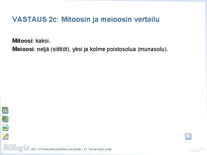 VASTAUS 2 c: Mitoosin ja meioosin vertailu Mitoosi: kaksi. Meioosi: neljä (siittiöt), yksi ja