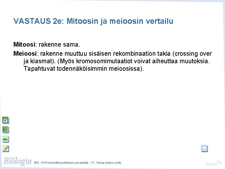 VASTAUS 2 e: Mitoosin ja meioosin vertailu Mitoosi: rakenne sama. Meioosi: rakenne muuttuu sisäisen
