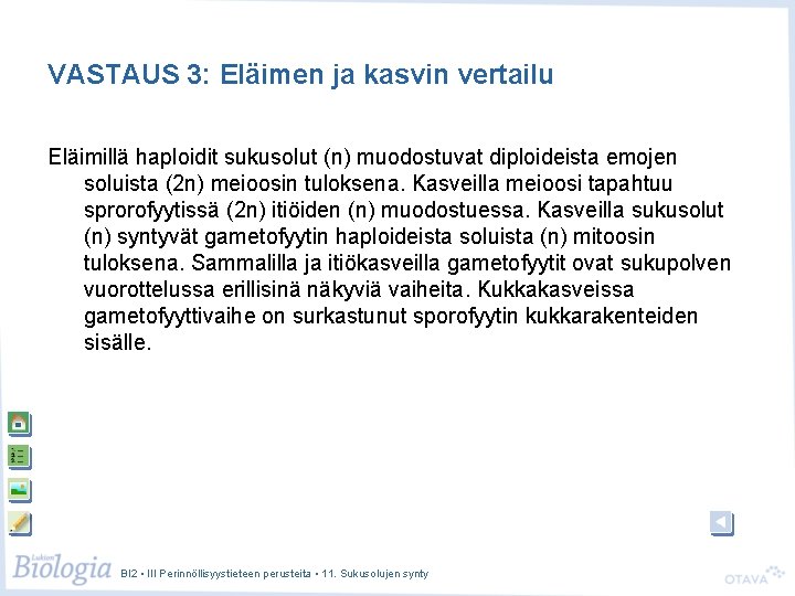 VASTAUS 3: Eläimen ja kasvin vertailu Eläimillä haploidit sukusolut (n) muodostuvat diploideista emojen soluista